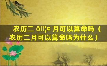 农历二 🦢 月可以算命吗（农历二月可以算命吗为什么）